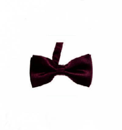 BT016 Order suit bow tie online order formal bow tie manufacturer detail view-5